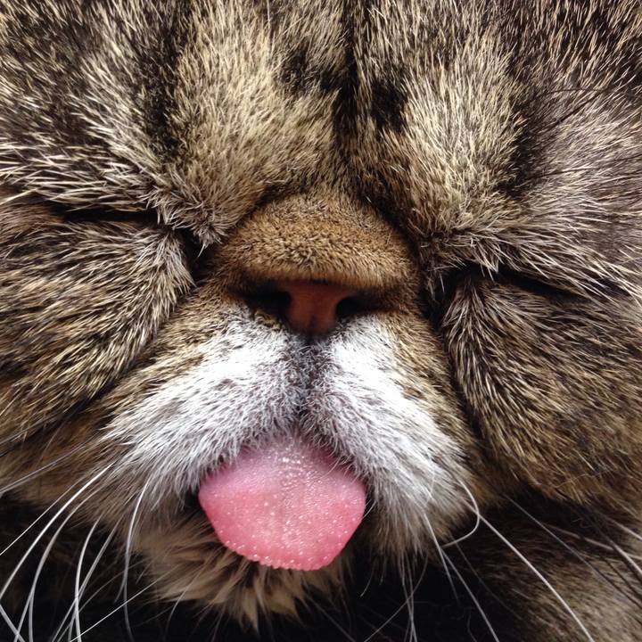 0e770f61 5be7 4e2d b165 2d3b3da344b6