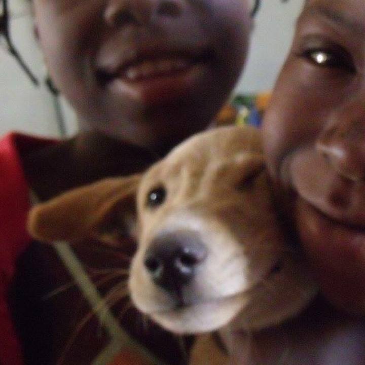 0e775d1b 376a 465f bb39 919e0227a402