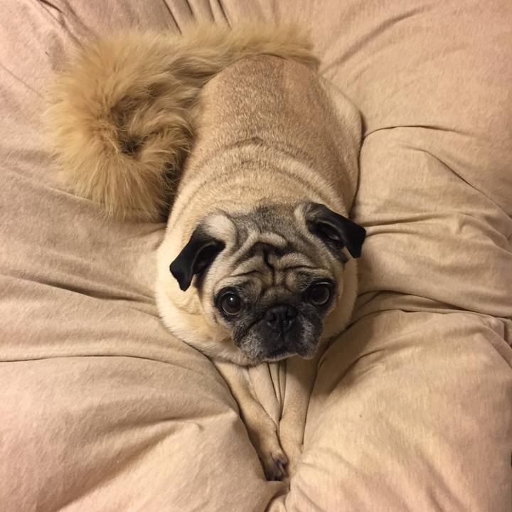 0e77715d b18e 4e16 ba0d 4c97873f0fe4