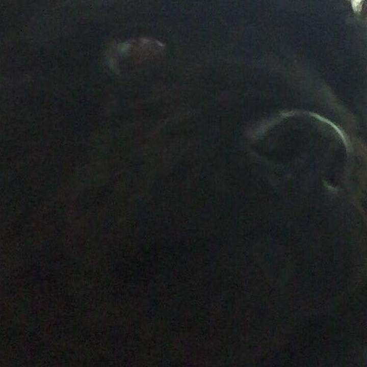 0e782d59 4731 41ae 833a 10b826822404