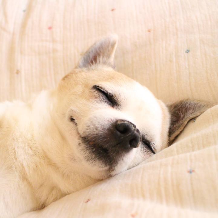 0e787b09 ecde 4e1b 8e80 6c4e352febf2