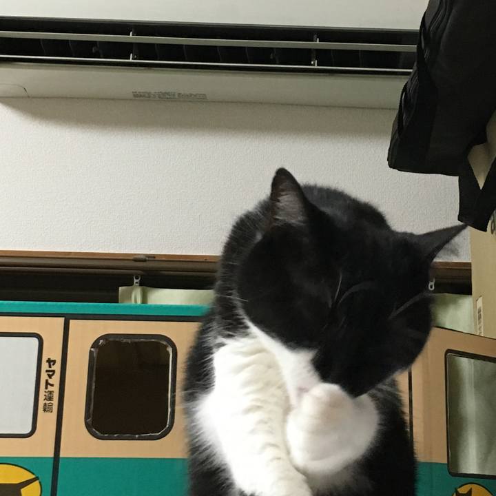 0e78f2f3 deb2 4de8 bf49 b30a3fdb8681