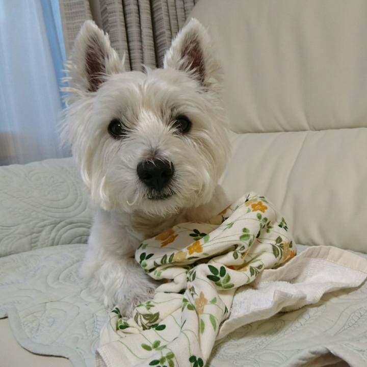 0e790a6c ec9b 47d6 bc71 778c808f6c42