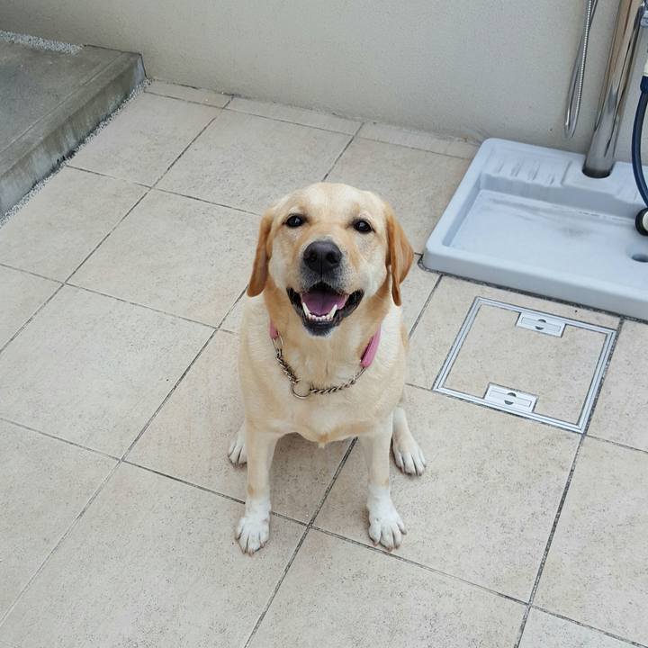 0e79c4fe abd4 4068 9fc2 a7f6c161a902