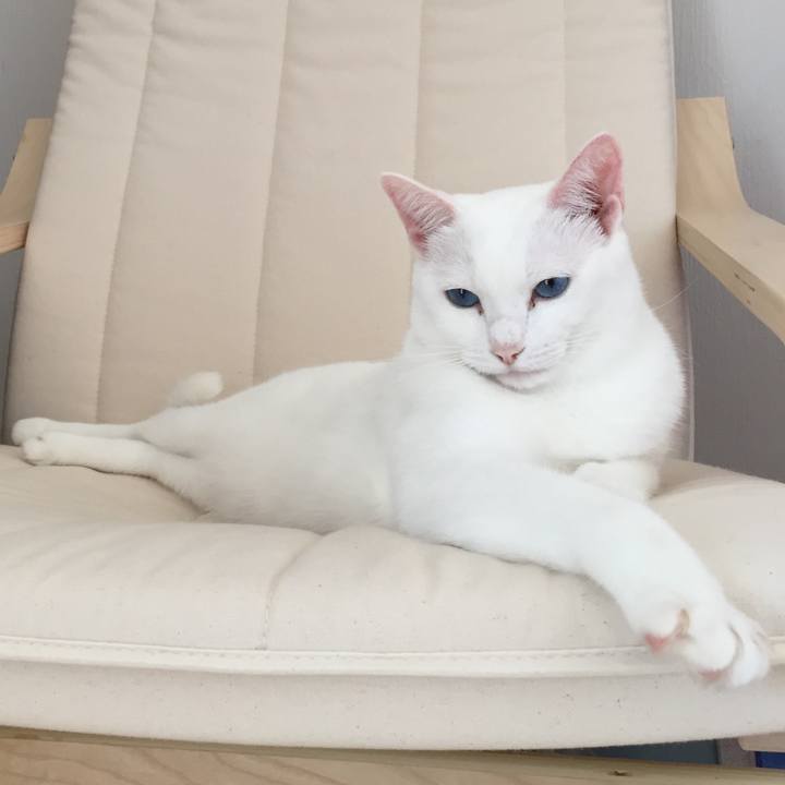 0e7a58de fb85 41a8 9686 a47f8f7c2deb