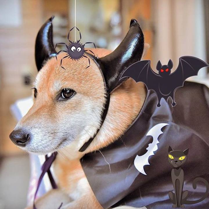 0e7a9d25 145b 4b65 9774 6bbe3c51af51