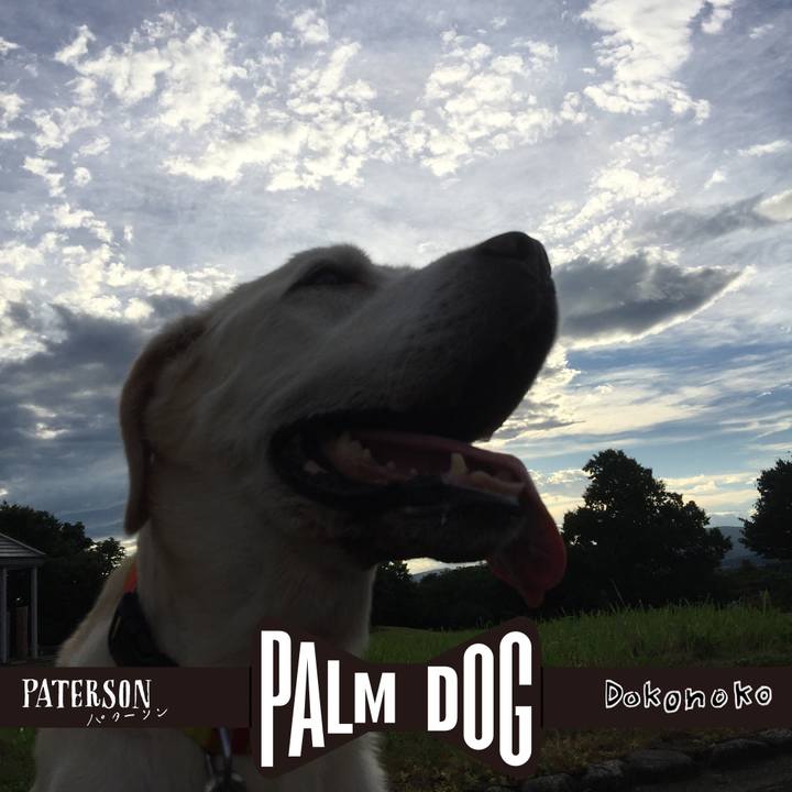 0e7b54bf e69e 4603 a289 83c4a3ac4c25