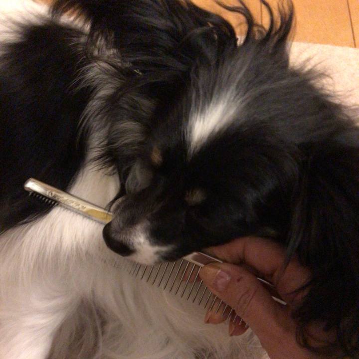 0e7b6f81 e451 46ff aabc 06bbe5f41497