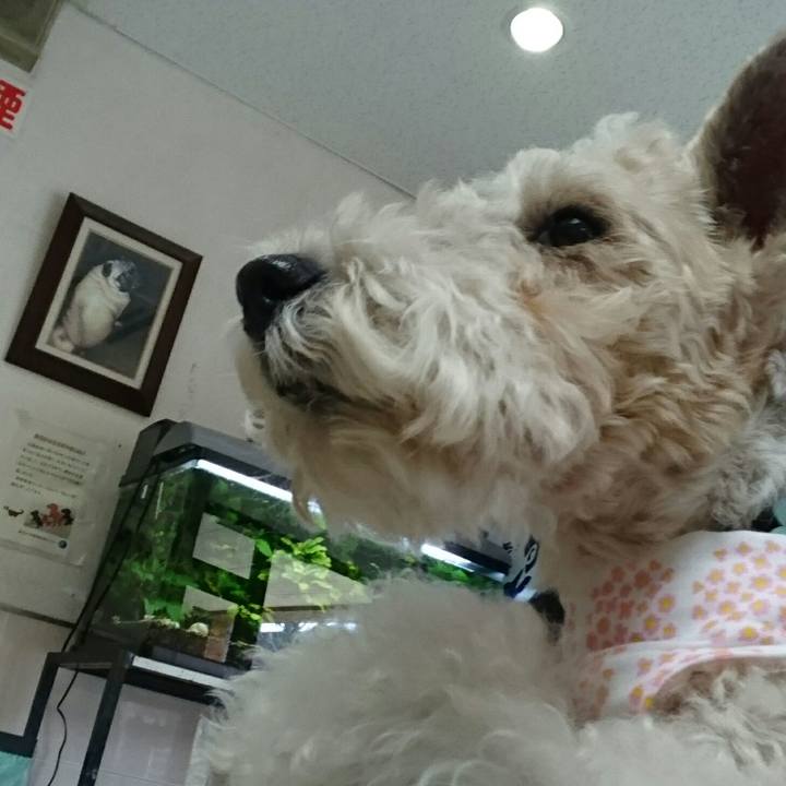 0e7bc55f ee61 4fdc 9681 8dd10b2e416a