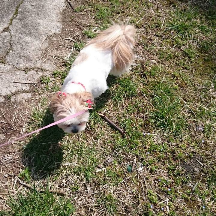 0e7d476c 3f7a 4287 8562 d9457070cb7b