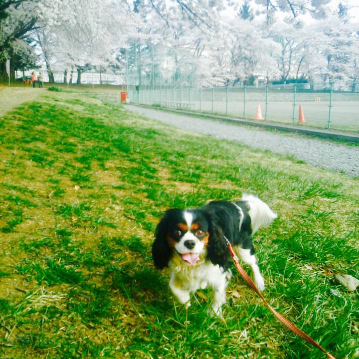 0e7d9bf4 572c 4c5f 8234 9546f2cd3b33