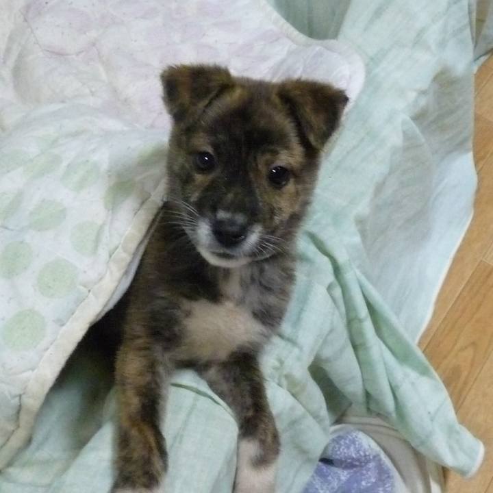 0e7dd322 9e1e 4546 b9c8 972924debceb