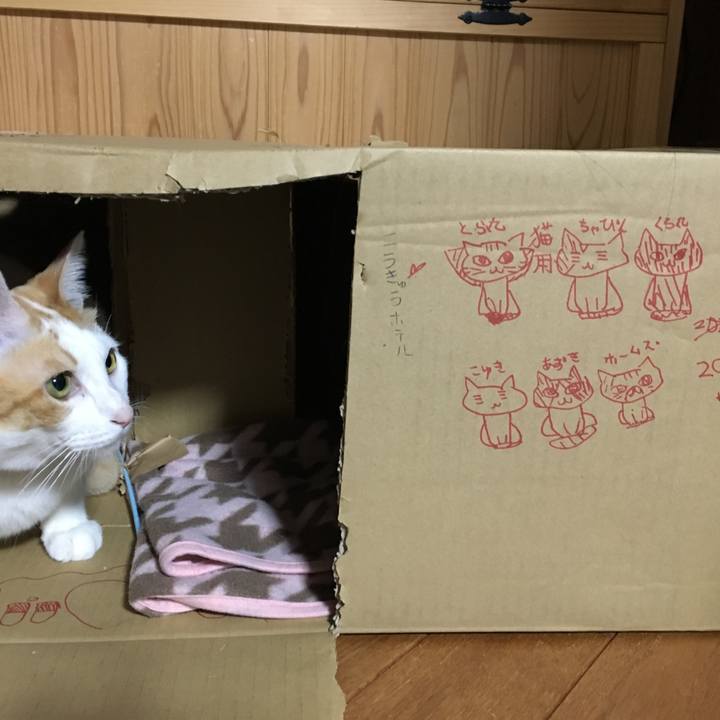 0e7de35d 416a 4521 be26 e310121fbdec