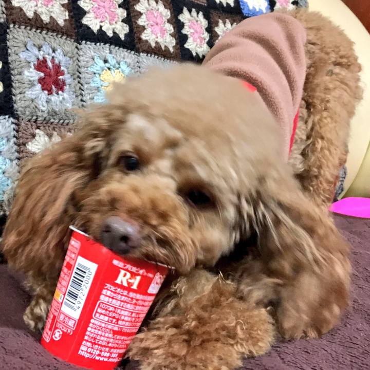 0e7e4794 9faa 4166 a92a 698f1a8cc5aa