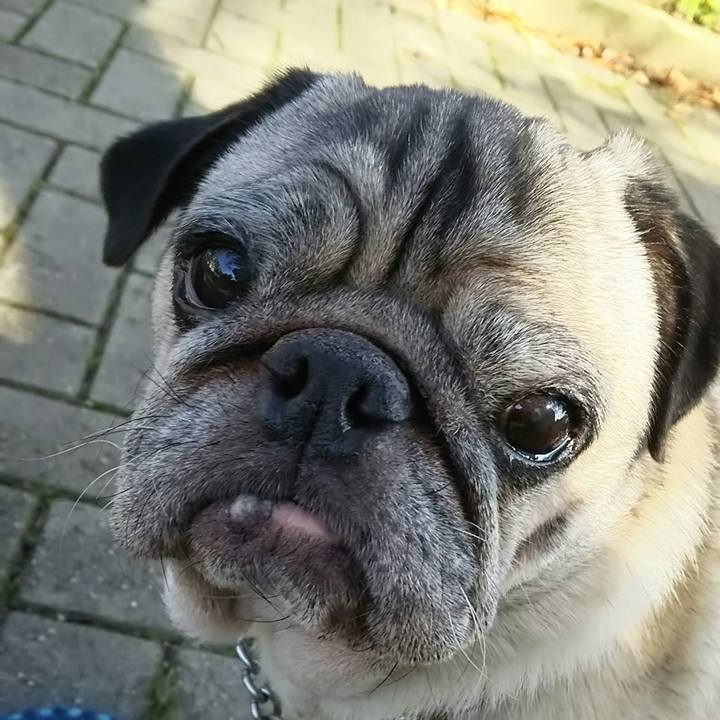 0e7e490e 0d06 4399 8739 416c8c5e0895