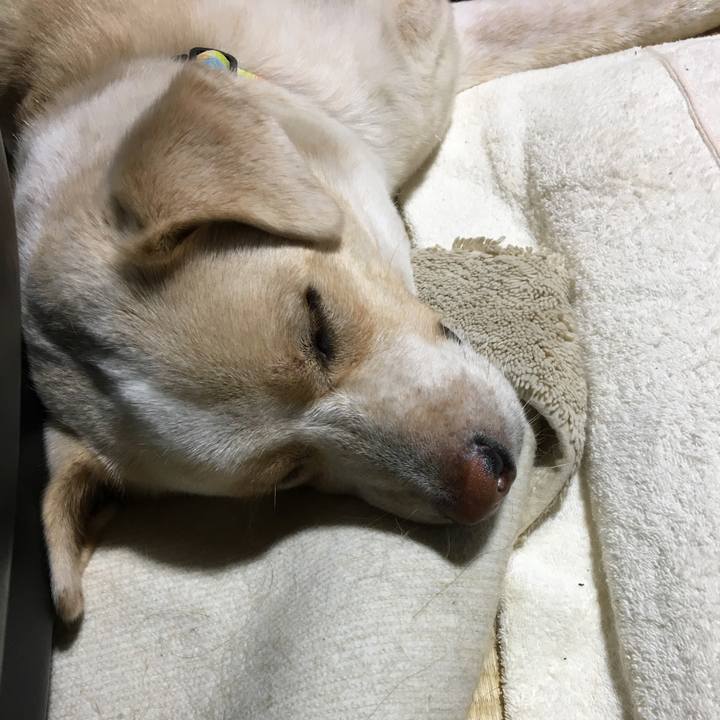 0e80114d 9e62 4419 8695 92d1982ee8c0