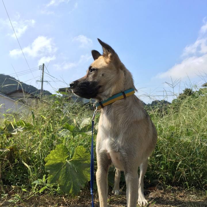 0e80d25d 7226 40d8 93d2 f86982390460