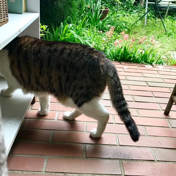 0e81fa25 586e 42f4 926c e3291785549a