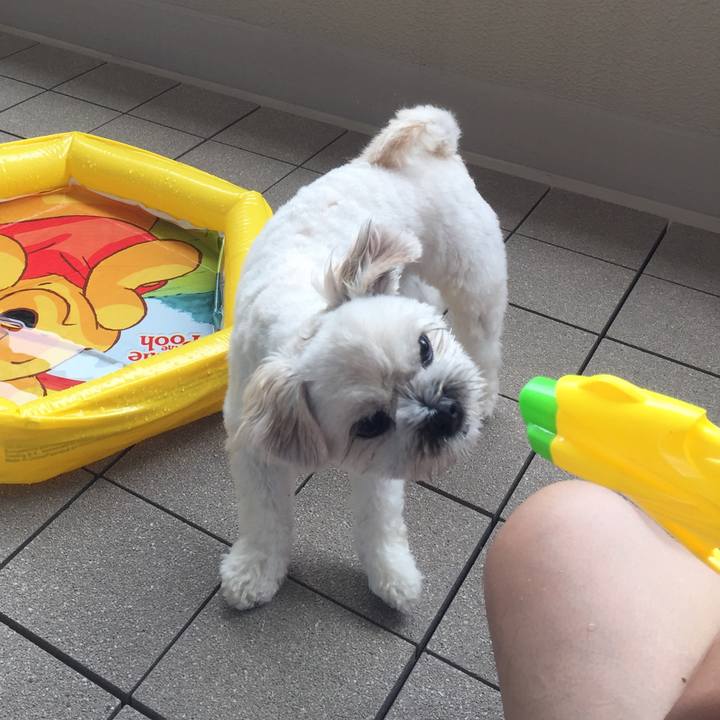 0e821309 1220 4ad8 b50d bb284c2c11bc