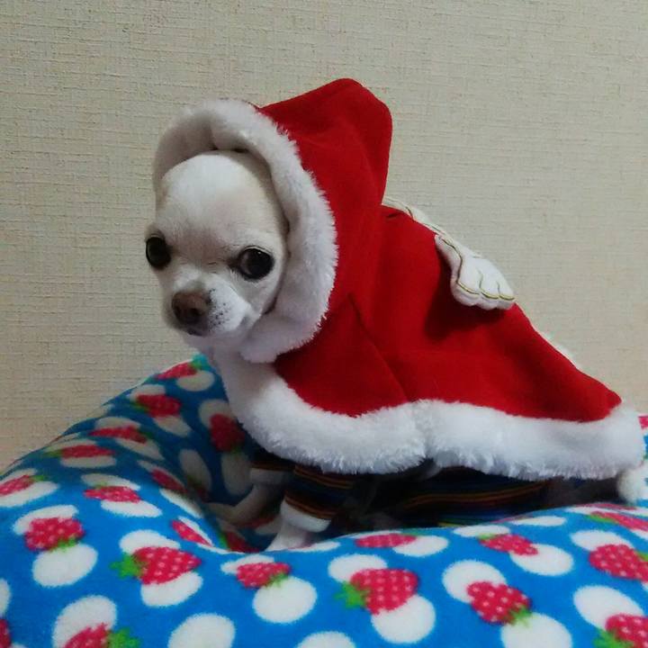 0e826c97 f48c 4d77 8690 d18dd1a5ac69