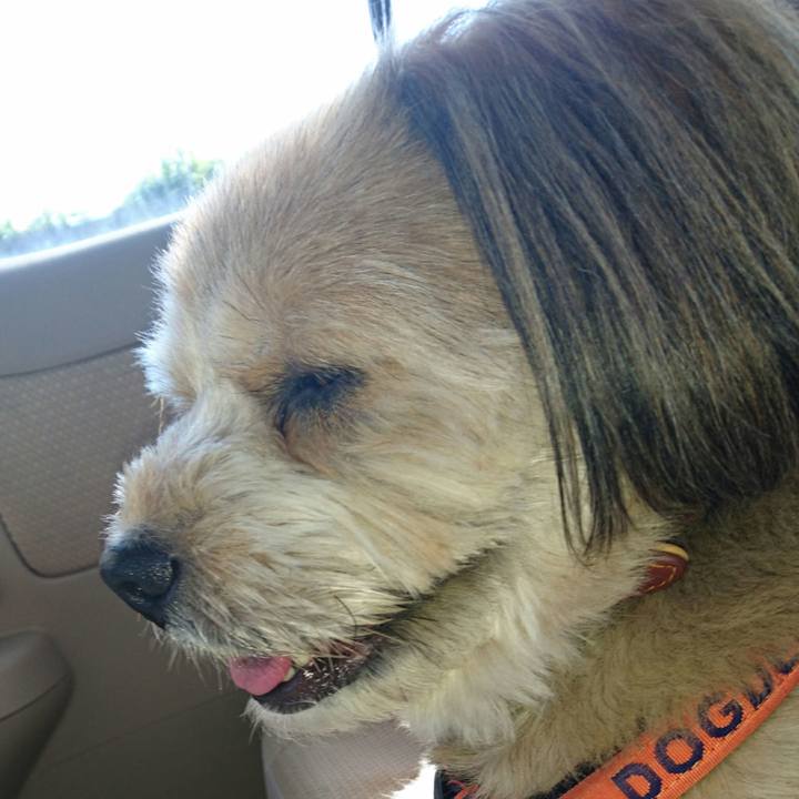 0e82a593 f705 4bf1 ac9a 6ebe11102a8e