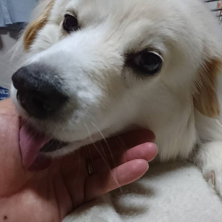 0e82bfa9 aeb7 48bc 86bf 0540f55737bb