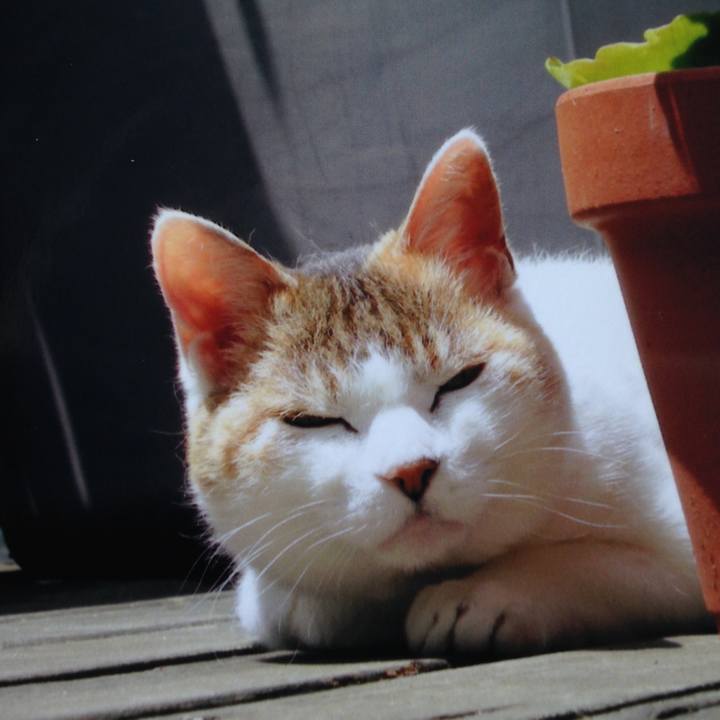 0e835575 182c 4819 ade5 b263d99ef075