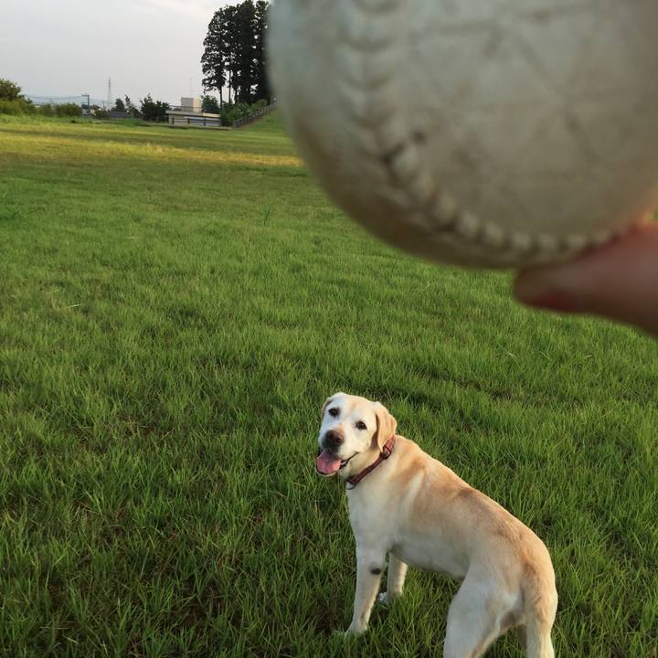 0e846064 5965 48e3 8969 18ee1a59b2d7