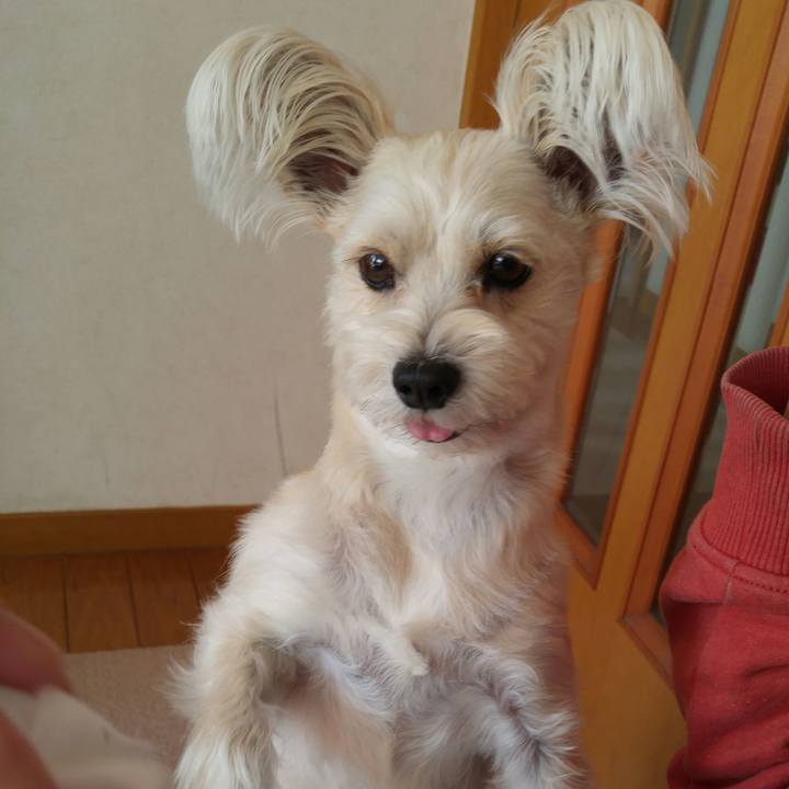 0e847f58 544a 4d9d 86ab 5aabe7ce75ed