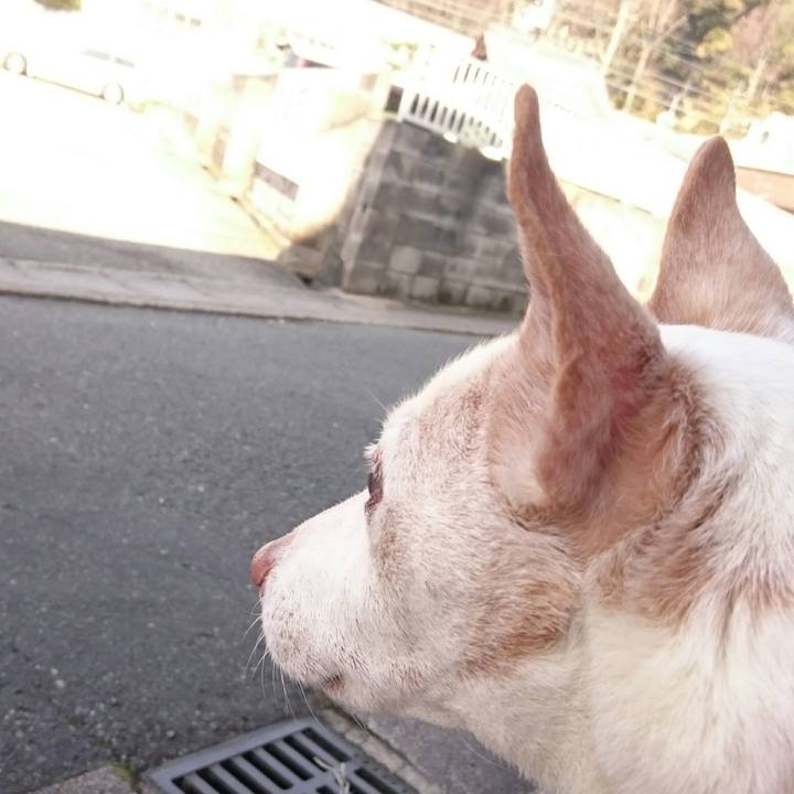 0e849855 4522 4d7f 90e2 12eba52cde55