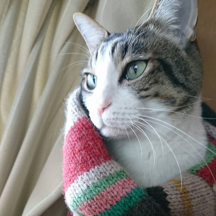 0e856ee6 5c54 4553 9855 85b0c7a98fbb