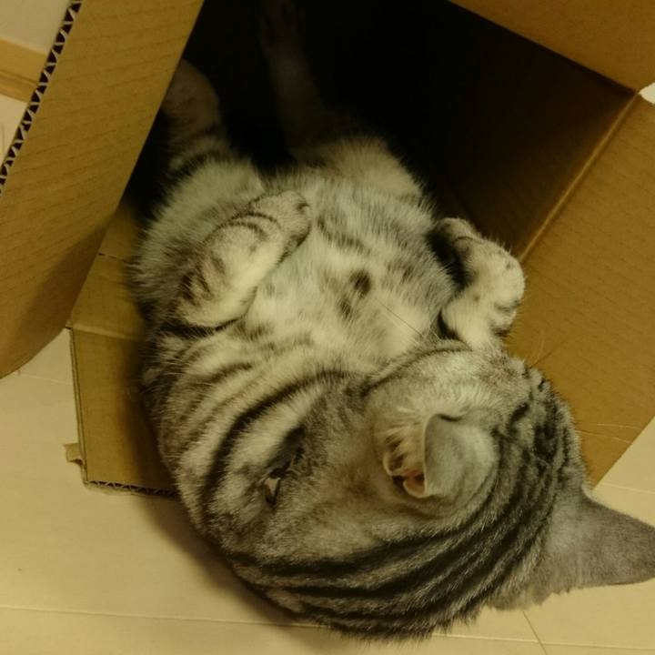 0e8586ff 3e76 4de6 b77b 75e08a5e2e6e