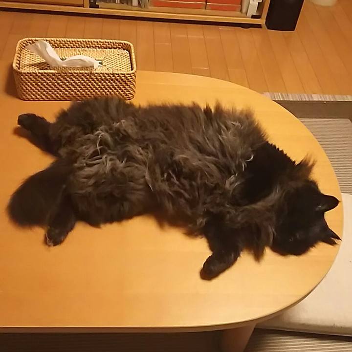 0e859014 abbb 4871 be2d 2bd63fbea135