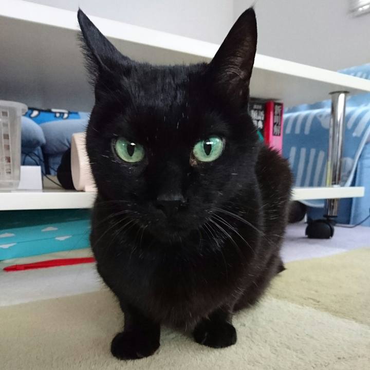 0e85ef4b 75ae 449c a074 3e89d13c1b95