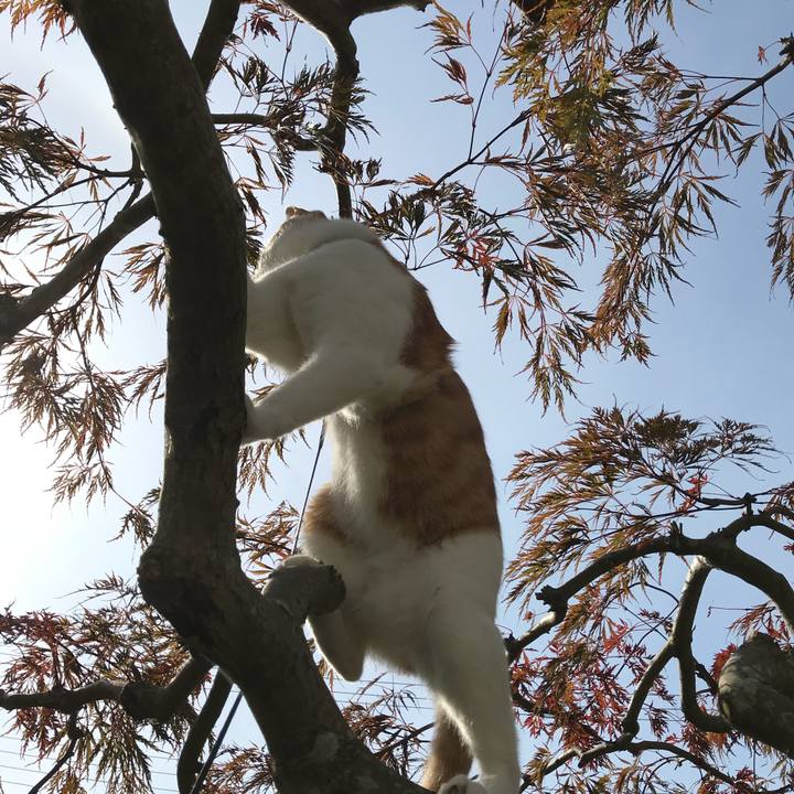 0e865d07 a2ef 4cc2 bb0f 4584682f7b81