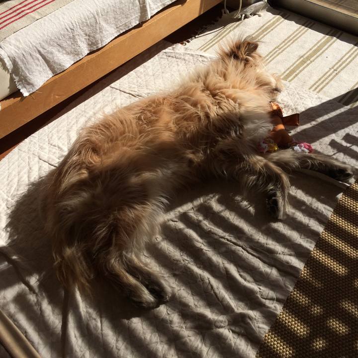 0e8674dc 1e58 4be2 aaf3 7d7105e43653