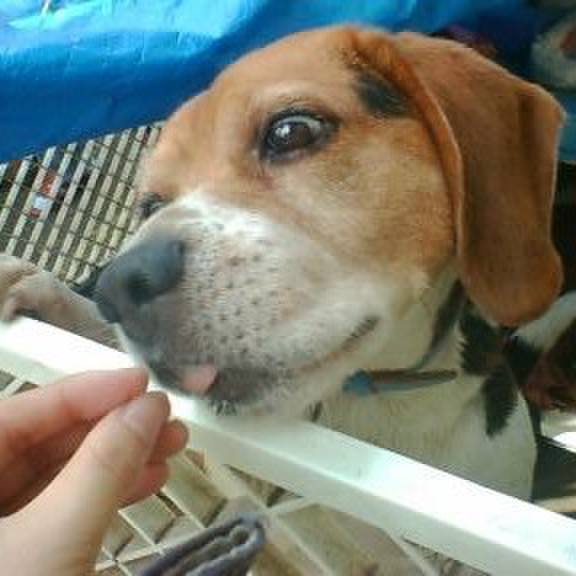 0e8710ef 56b0 4df2 9265 394b0b594e1c