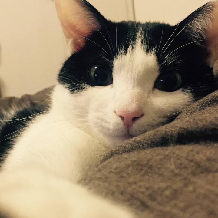 0e871184 81e7 4583 89c6 97cedc73c87a