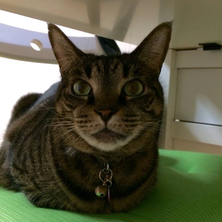 0e872438 e133 4088 9b04 95095160a674