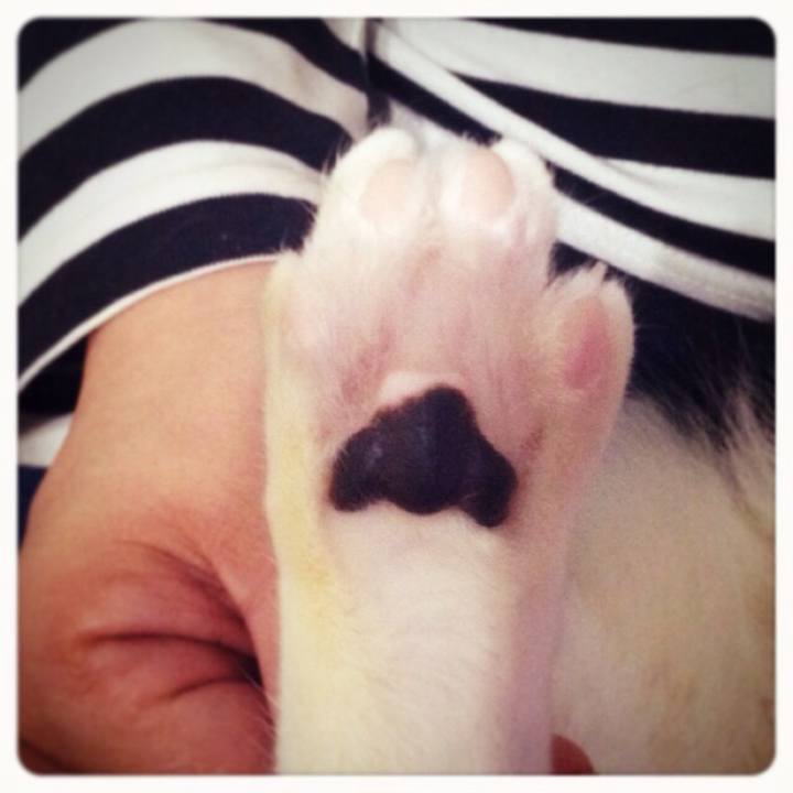 0e87bc1a 8d89 473e bb70 f85f41bb6738