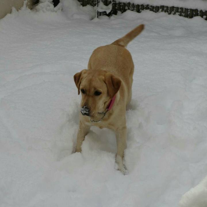 0e88e182 8cb0 4367 a823 c061eca4e063