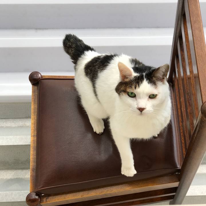 0e890027 9fa9 4b28 8559 bcb8fc095490