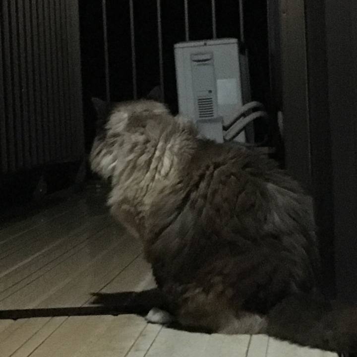 0e898bd5 43a8 4144 86d1 33ef19d11879