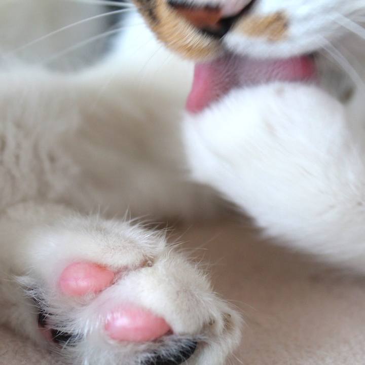 0e89bbfd 59be 4f3f ac9f 5e06ae774be3