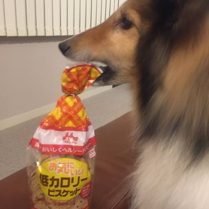 0e8a6bf3 2f56 4d2a 8bfc 5732e72a7830