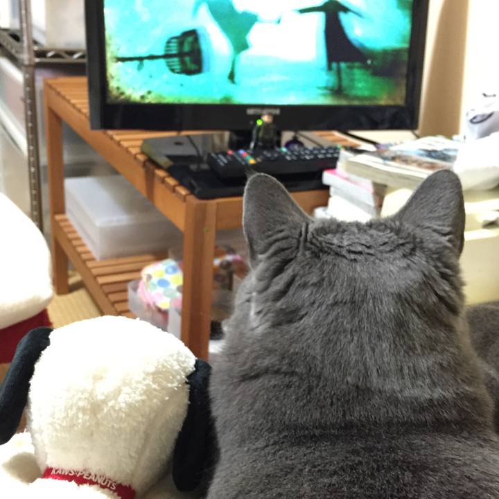 0e8a94fc 634d 4dce aeda 13828aca515d