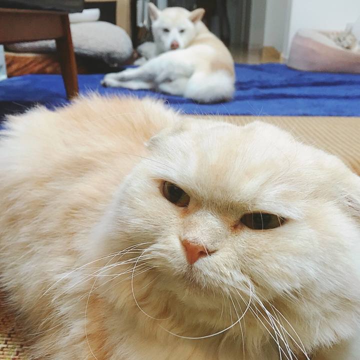 0e8ab6e5 5a1d 4a23 ba46 8ec02538b5b7