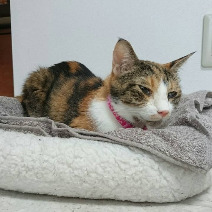 0e8b9228 b87d 46a3 bb2e 694e9ada4619