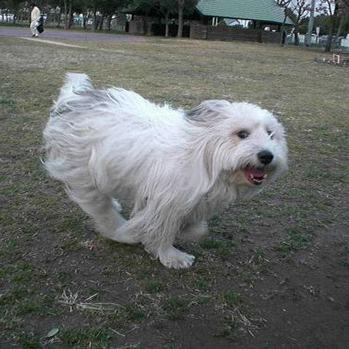 0e8bad67 58db 43ae 80a9 c57f25bd6658