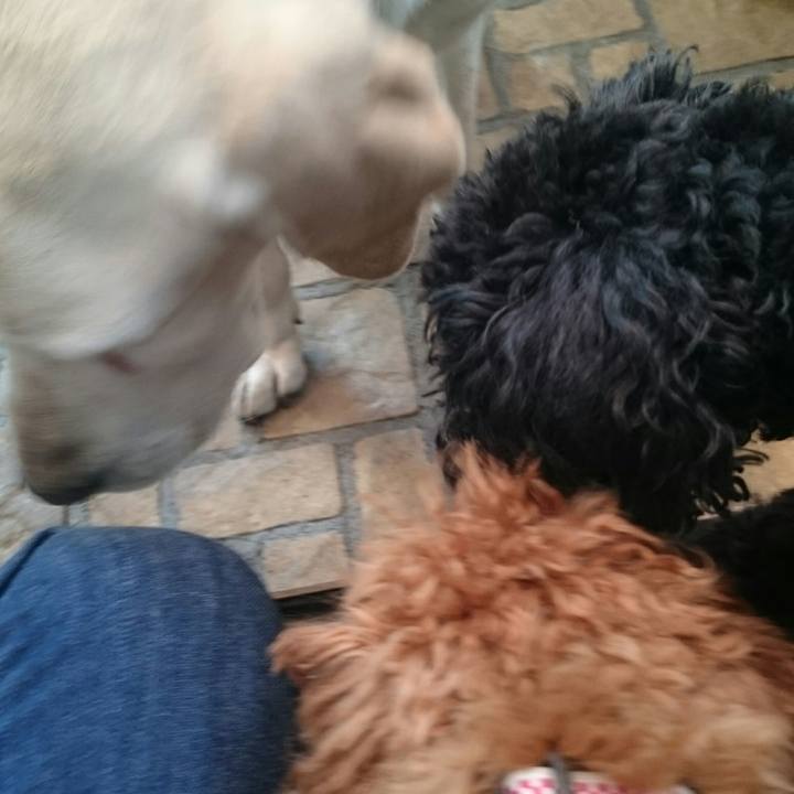 0e8bf069 1c92 4a8d 961c c4b1957ebe06